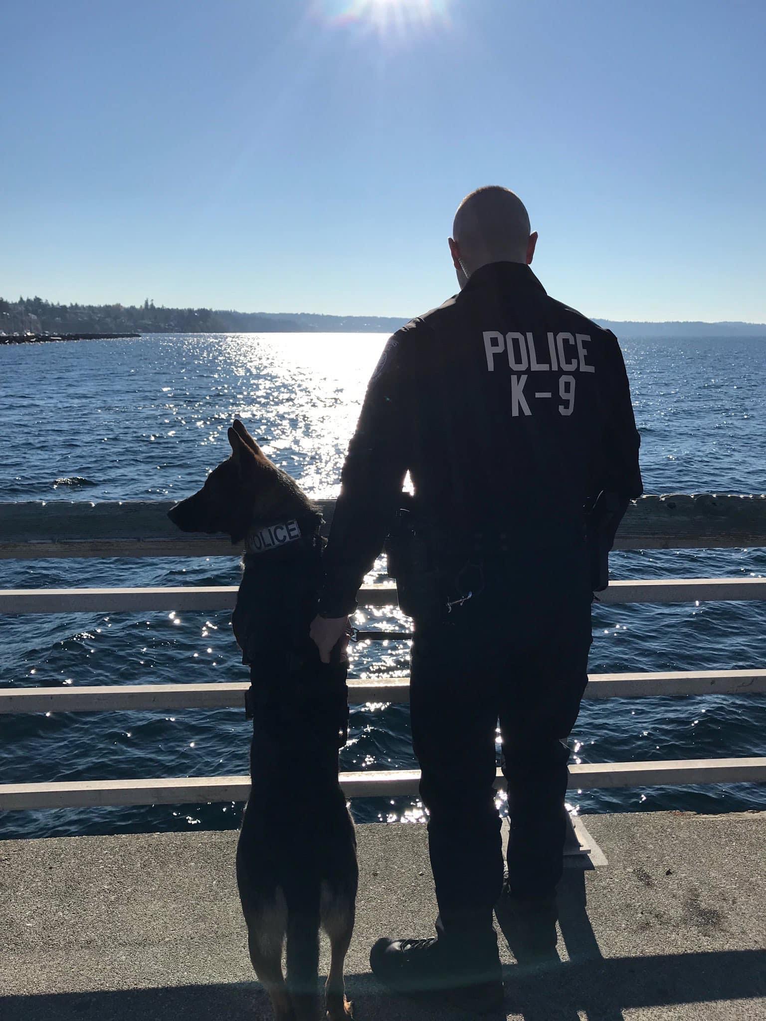 A K-9 officer and his dog stand against the railing of a pier, looking out over the water.